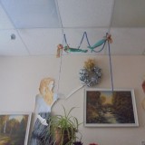 Украшение кабинетов 2014