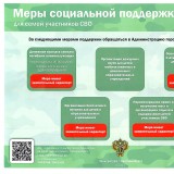 Меры социальной поддержки для семей участников СВО