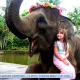 От Совета старшеклассников. Фотоконкурс